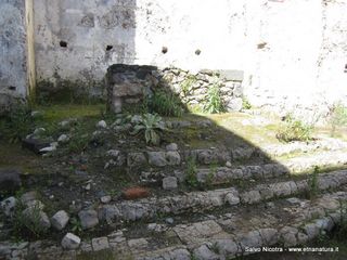 mpanarazzu-03-03-2014 13-32-01